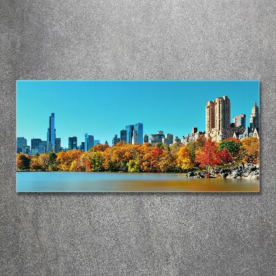 Quadro vetro acrilico New York in autunno