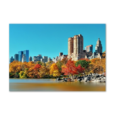 Quadro vetro acrilico New York in autunno