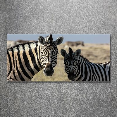 Quadro vetro acrilico Due zebre