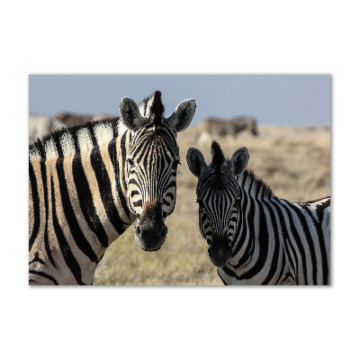 Quadro vetro acrilico Due zebre