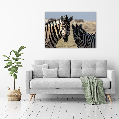 Quadro vetro acrilico Due zebre