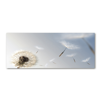 Quadro su vetro acrilico Dente di leone