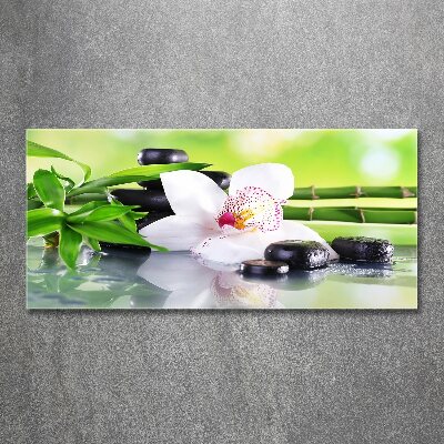 Quadro in vetro acrilico Orchidea