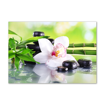 Quadro in vetro acrilico Orchidea