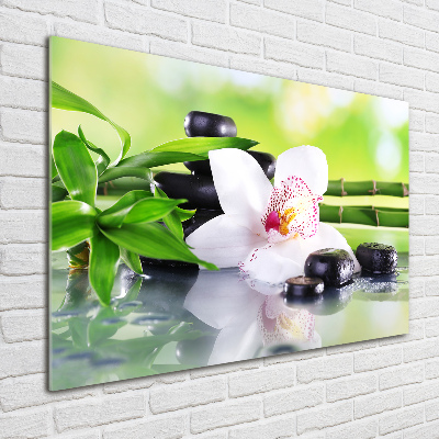 Quadro in vetro acrilico Orchidea