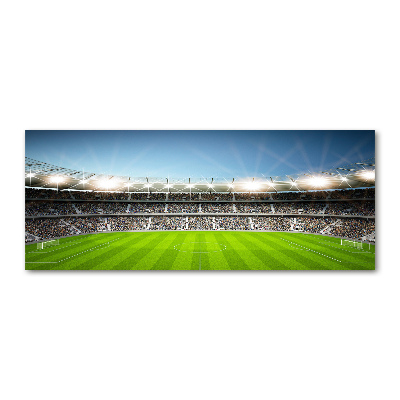 Quadro su vetro acrilico Stadio