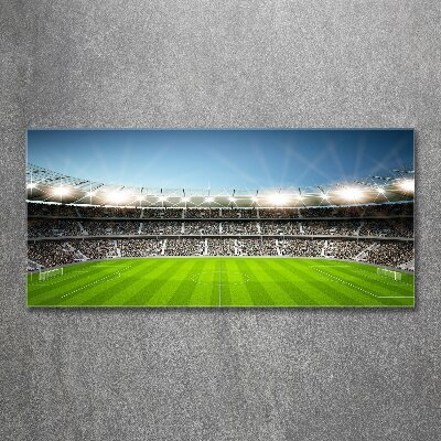 Quadro su vetro acrilico Stadio