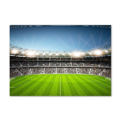 Quadro su vetro acrilico Stadio