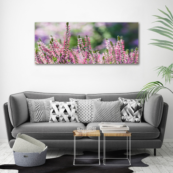 Quadro su vetro acrilico Fiori di erica