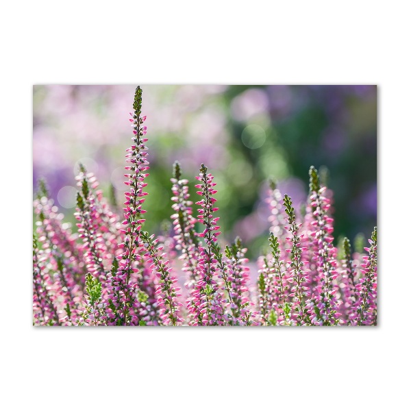 Quadro su vetro acrilico Fiori di erica