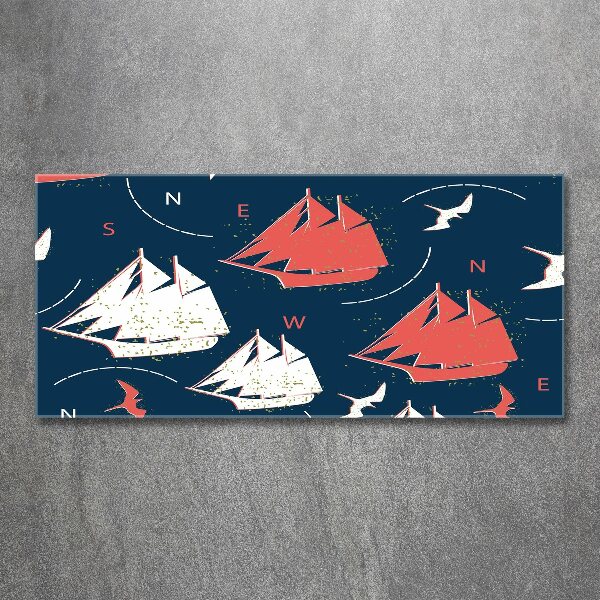 Quadro su vetro acrilico Navi uccelli marini