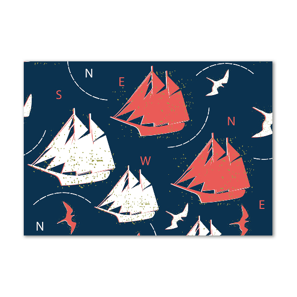 Quadro su vetro acrilico Navi uccelli marini