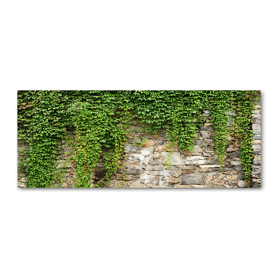 Quadro in vetro acrilico Edera verde