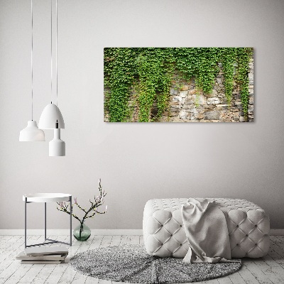 Quadro in vetro acrilico Edera verde