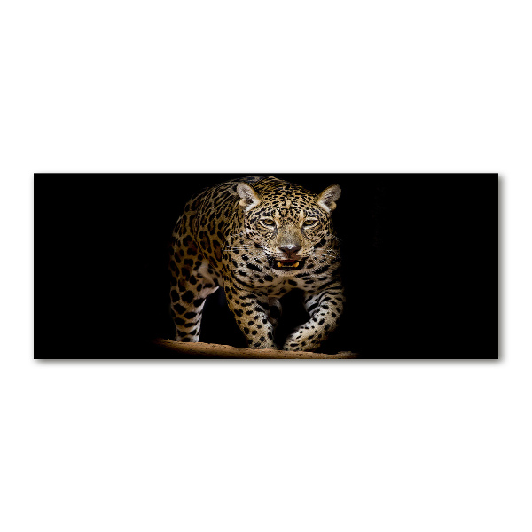Quadro in vetro acrilico Giaguaro