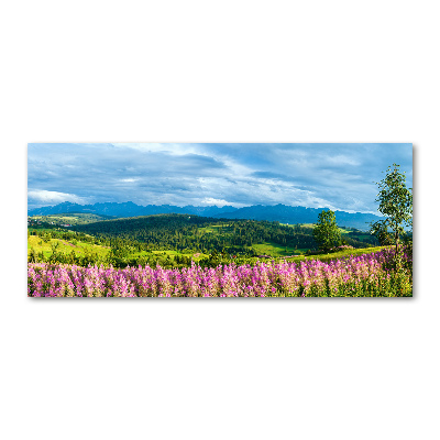 Quadro su vetro acrilico Lavanda in montagna
