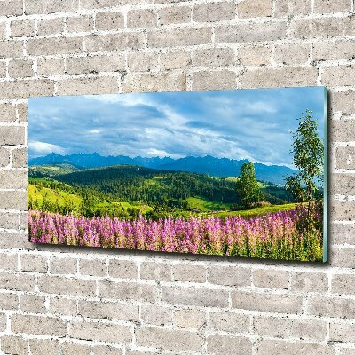 Quadro su vetro acrilico Lavanda in montagna