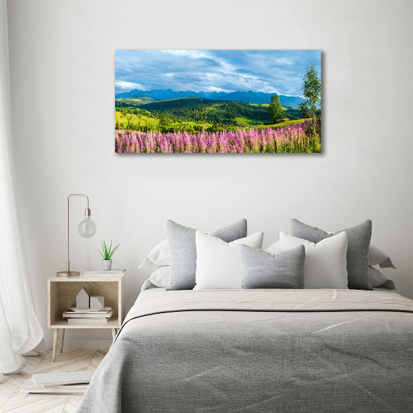 Quadro su vetro acrilico Lavanda in montagna
