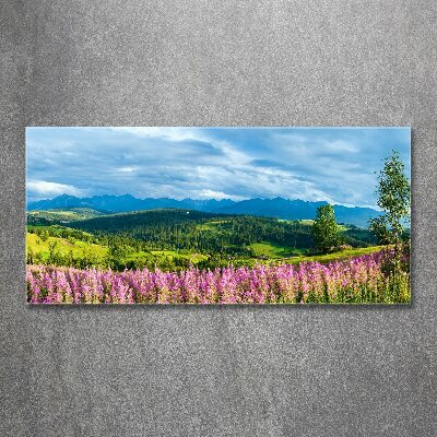 Quadro su vetro acrilico Lavanda in montagna