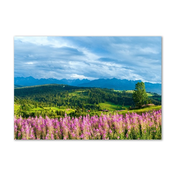 Quadro su vetro acrilico Lavanda in montagna