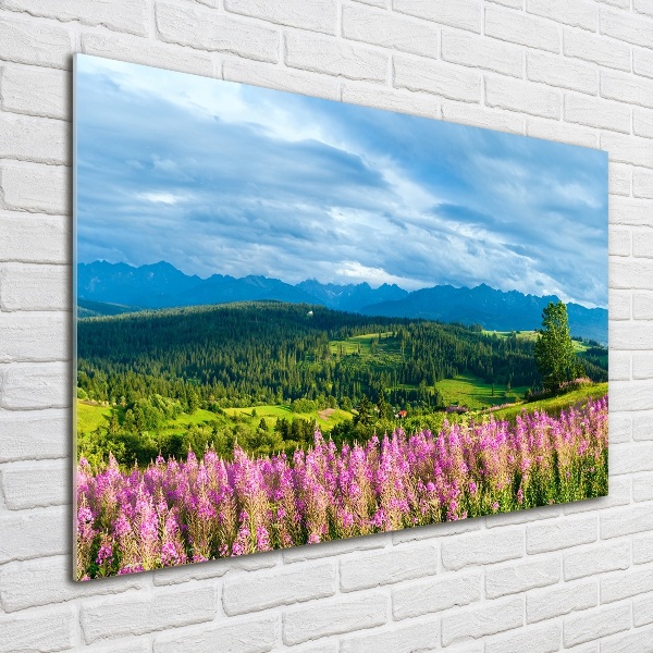 Quadro su vetro acrilico Lavanda in montagna
