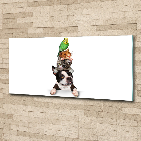 Quadro vetro acrilico Un gruppo di animali