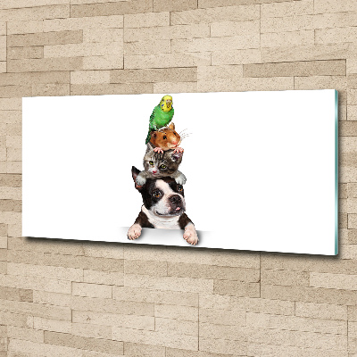 Quadro vetro acrilico Un gruppo di animali