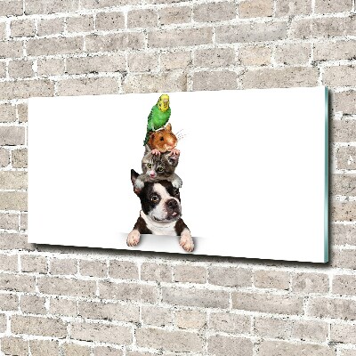 Quadro vetro acrilico Un gruppo di animali