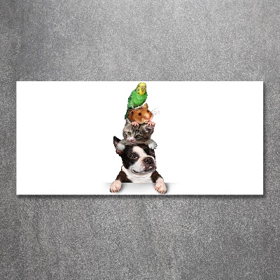 Quadro vetro acrilico Un gruppo di animali