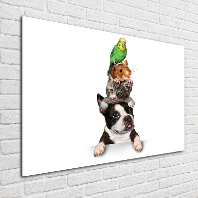 Quadro vetro acrilico Un gruppo di animali