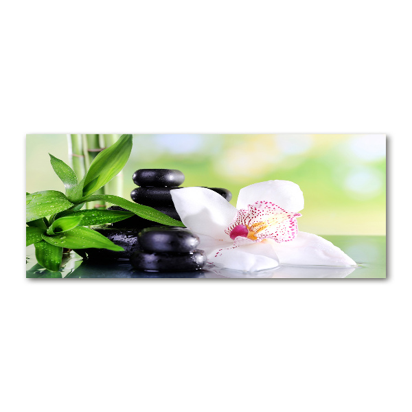 Quadro in vetro acrilico Orchidea