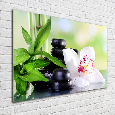 Quadro in vetro acrilico Orchidea