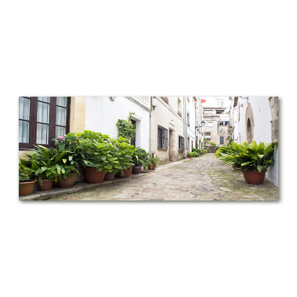 Quadro vetro acrilico Una strada affascinante