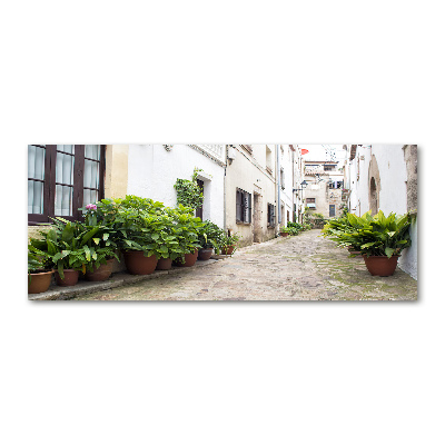 Quadro vetro acrilico Una strada affascinante