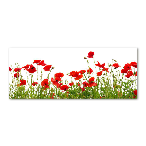 Quadro vetro acrilico Papaveri