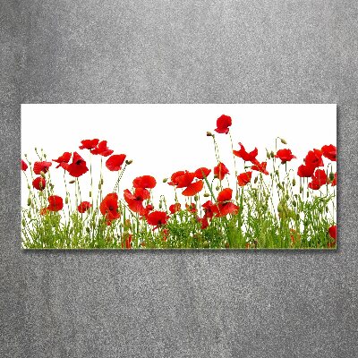 Quadro vetro acrilico Papaveri