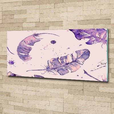 Quadro vetro acrilico Piume