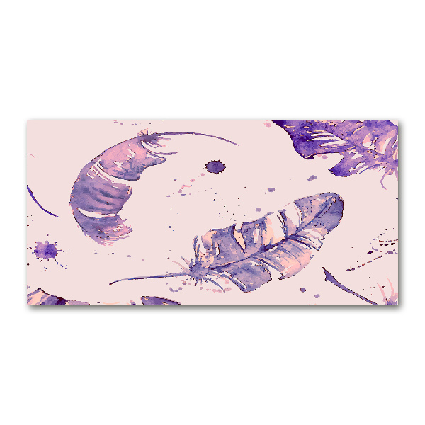 Quadro vetro acrilico Piume