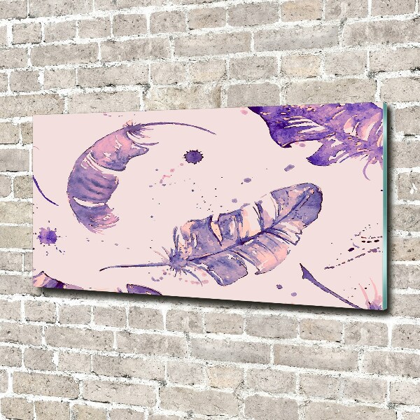 Quadro vetro acrilico Piume