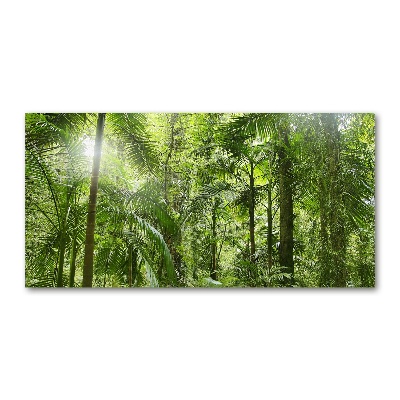 Quadro su vetro acrilico Foresta tropicale