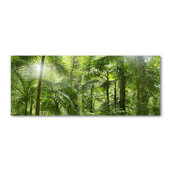 Quadro su vetro acrilico Foresta tropicale