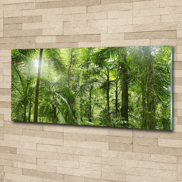 Quadro su vetro acrilico Foresta tropicale