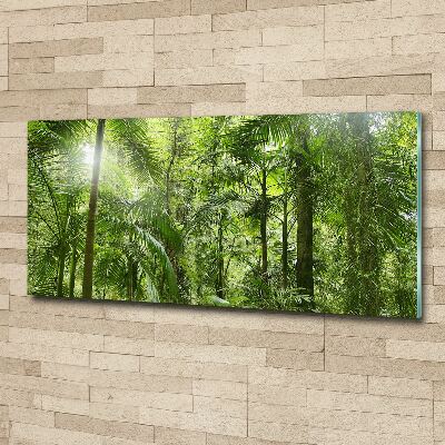 Quadro su vetro acrilico Foresta tropicale