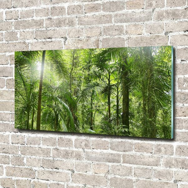Quadro su vetro acrilico Foresta tropicale