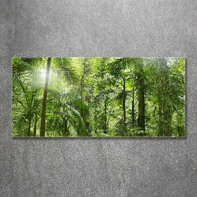 Quadro su vetro acrilico Foresta tropicale