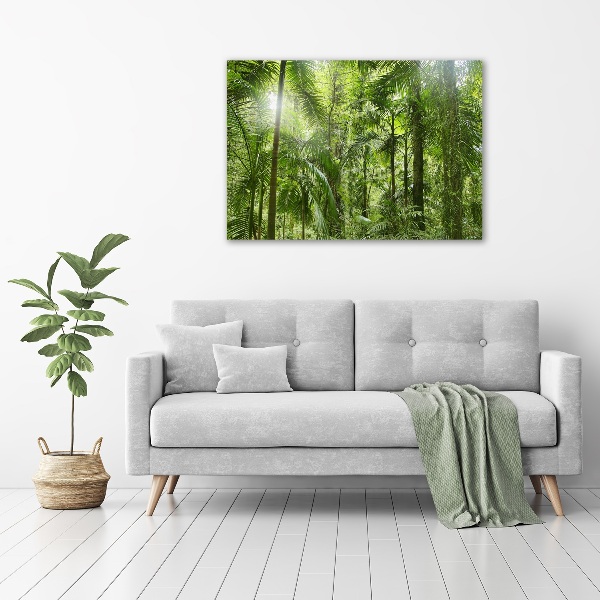 Quadro su vetro acrilico Foresta tropicale