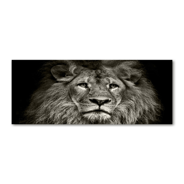 Quadro su vetro acrilico Leone