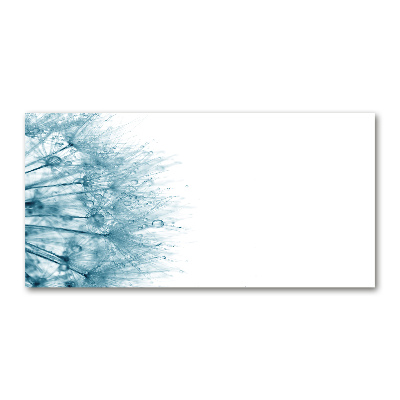 Quadro in vetro acrilico Dente di leone