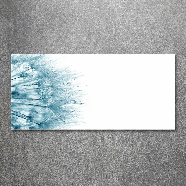 Quadro in vetro acrilico Dente di leone