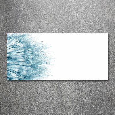 Quadro in vetro acrilico Dente di leone